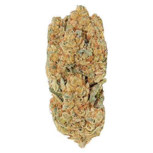 Redecan - Frosted Animal Cake