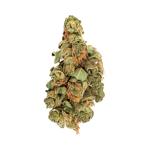 Daily Special - Sativa Blend