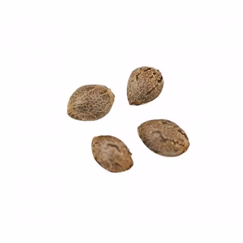 Weed Me - Twisted Grape Seeds