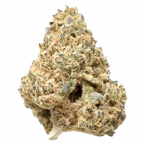 Snicklefritz - Sativa