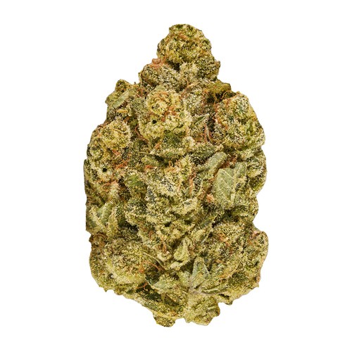 Inzane in the Membrane