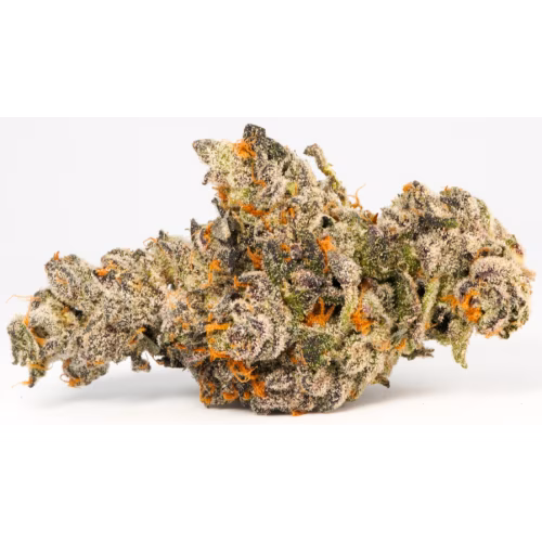 LOT420 - Cannoli
