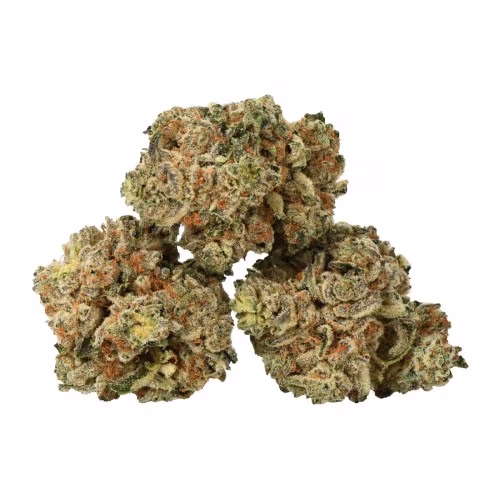 TABLE TOP - Snowball Kush