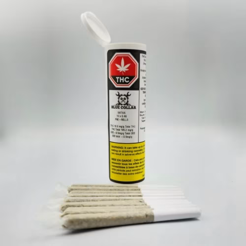 Blue Collar - Sativa