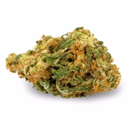 Aurora - Blue Dream