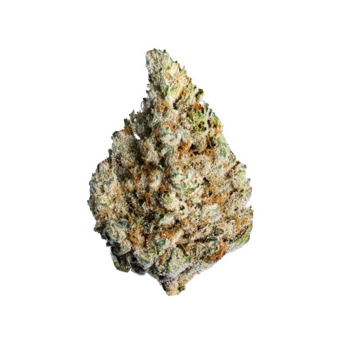 Lotus - Keylime Kush