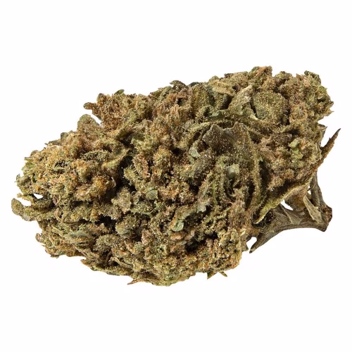 Wholehemp Premium CBD