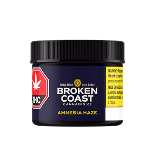 Broken Coast - Amnesia Haze