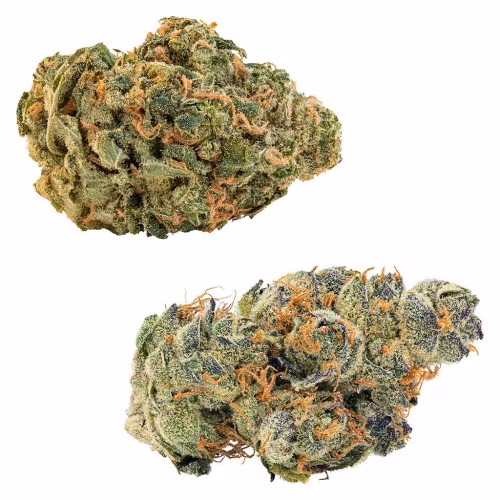 Big Bag O' Buds - CombOz: GMO Cookies + Ultra Sour