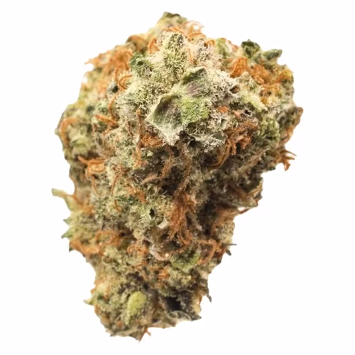 Thumbs Up - Gelato 41 x Triangle Kush