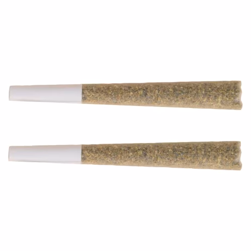 The Republic - Black Label Pre-Roll