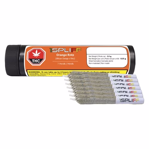 Orange Rntz Pre-Rolls