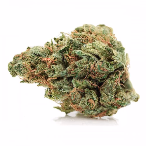 Spinach - Blue Dream