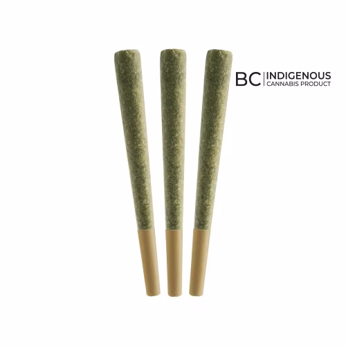 All Nations - STO: Lo Haze Pre-Rolls