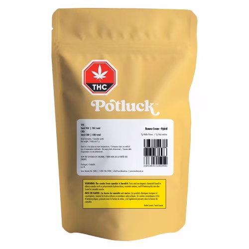 Potluck - Banana Cream
