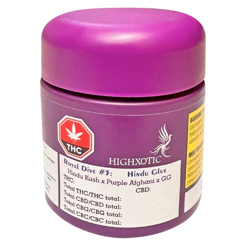 HighXotic - Royal Dive #3: Hindu Glue