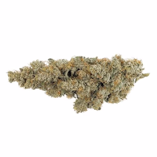 Msiku - ICC x Kush Mints 11