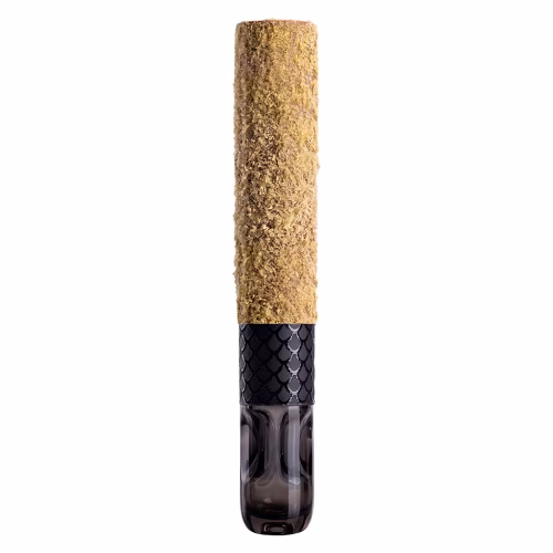 Tenzo - Black Dragon Glass Tipped Cannon BLNT Infused Pre-Roll