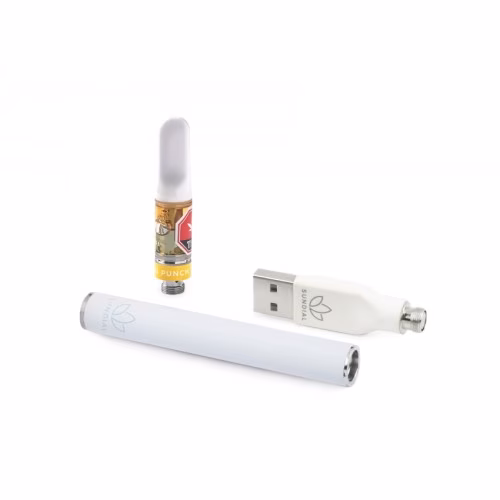 Sundial - Citrus Punch Full Spectrum 510 Vape Starter Kit
