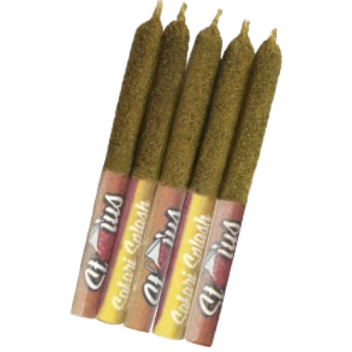Status - Safari Splash Liquid Diamond Kief Coated Infused Pre-Rolls