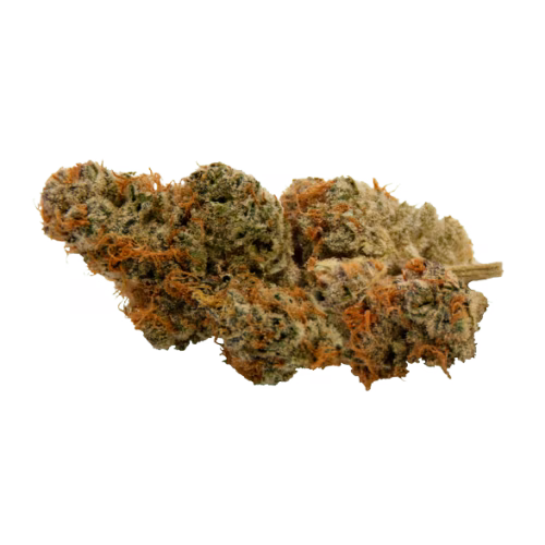 Bullrider - Peach Crescendo