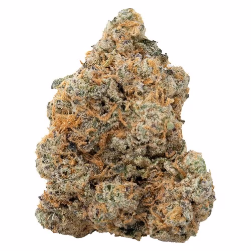 Exotic Gas