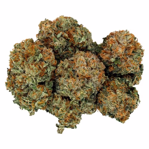 Bonfire - Golden Grape
