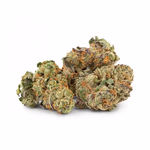 Edison - GMO Cookies