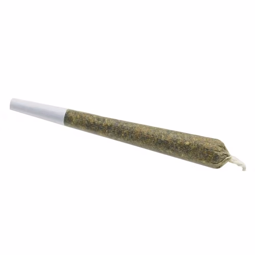 Spinach - Blue Dream Pre Roll