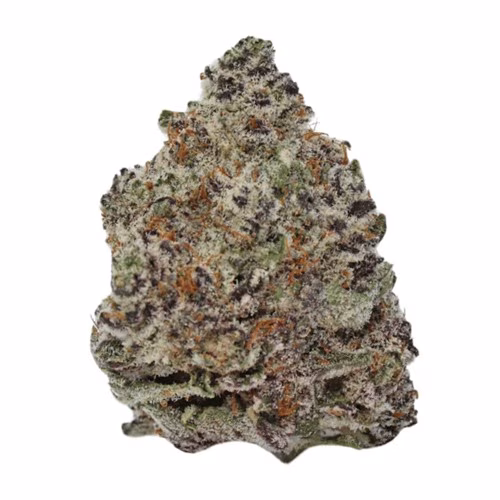 Kief Cannabis Co. - Frosted Oreoz