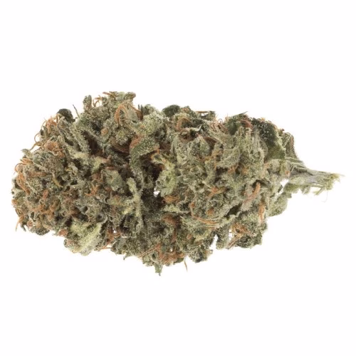 Station House - Blue Dream