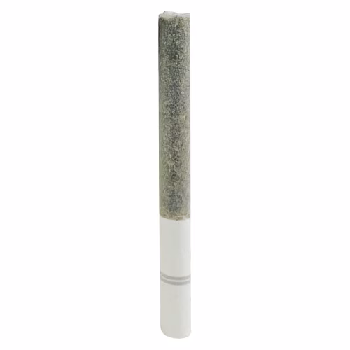 November Rain - BLASTERS ICE TEA PR3X0.5G HYBRID