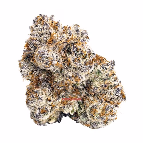 BLK MKT - PURPLE RAIN