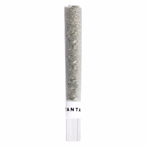Tantalus Labs - Mai Tai x Zero Gravity Glass Tip
