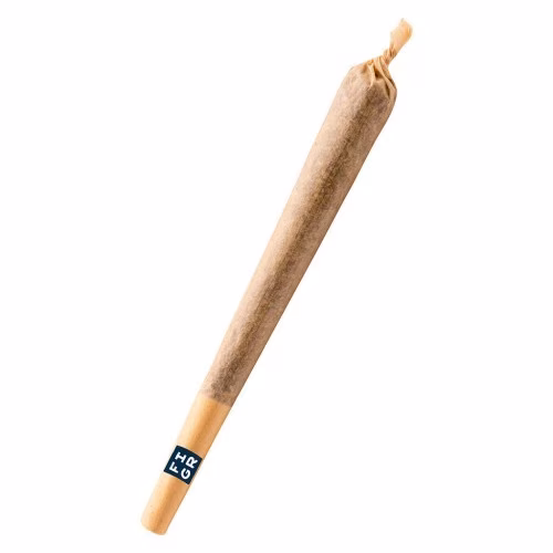FIGR - Jungle Fumes