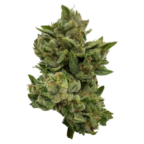Deelish - Pretty Sweet Sativa