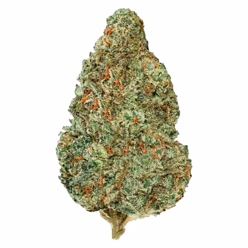 Chemzilla