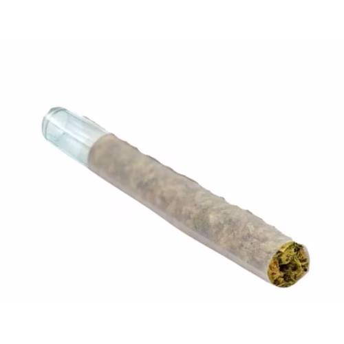 Puffer's Paradise - Magik Dragon Pre-Roll