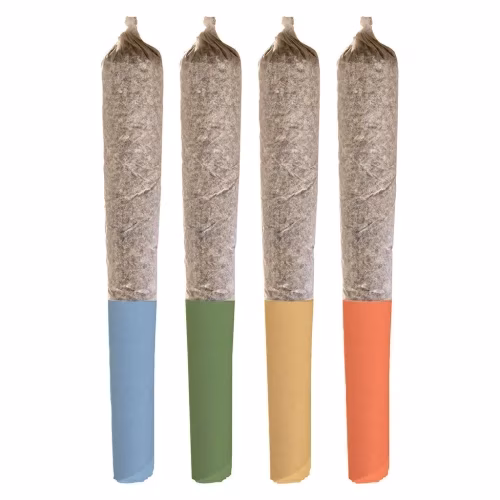 Potluck - Burst Collection Infused Variety