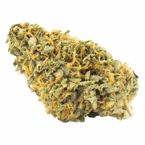 Palmetto - Nuken