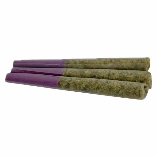 Lamb of God Pre-Roll