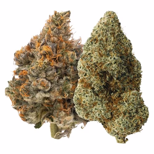 Carmel - Two Pack: Mystery Made & Bully Kush