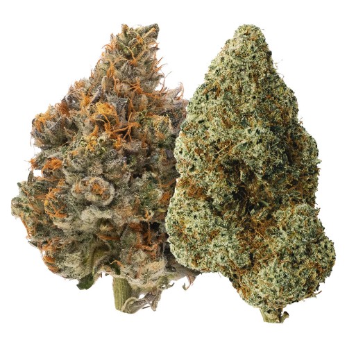Two Pack: Mystery Made & Bully Kush