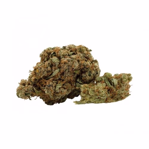 Daily Special - Lemon Haze