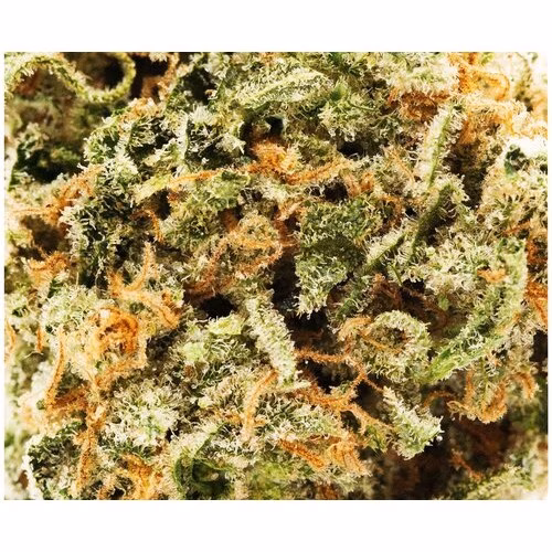 Good Buds - Mango Taffie Pre-Rolls