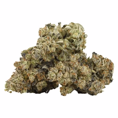 FRESH - Gas Face