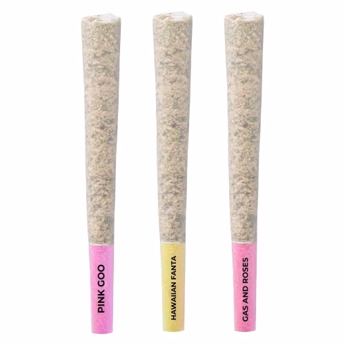 Pistol and Paris - Hawaiian Fanta Pink Goo & Gas and Roses Multipack