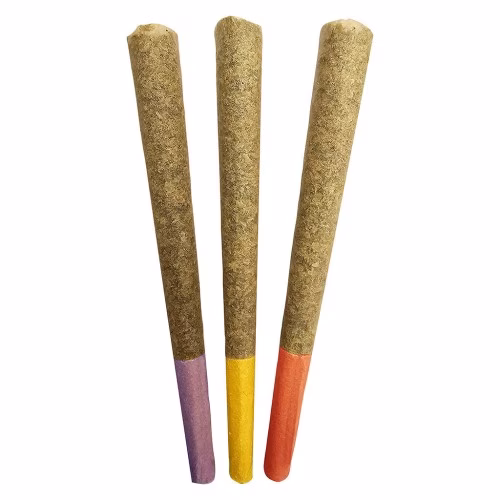 Dom Jackson - Gas Mask - Variety Pack Pre-Roll