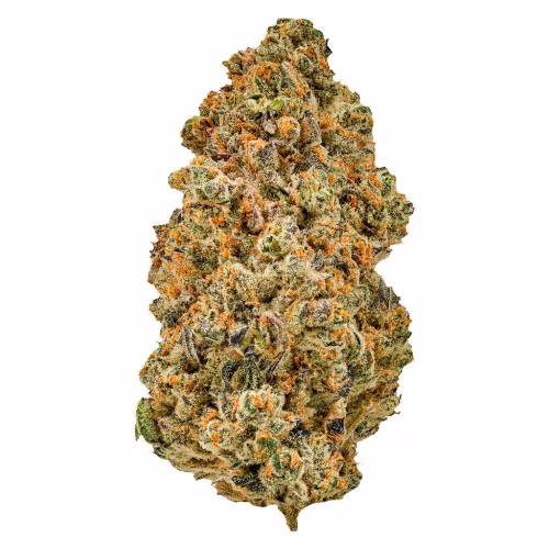 Cheers Cannabis - Sugar Daddy