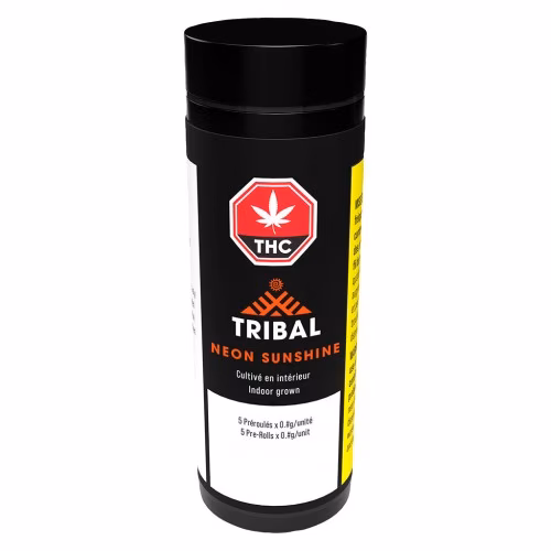 Tribal - Neon Sunshine
